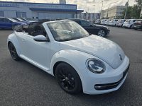 VW Beetle Cabrio 1,2 TSI BMT Design DSG bei Kölbl GmbH in 