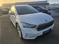 Skoda Enyaq iV 60 62kWh bei Kölbl GmbH in 